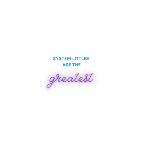 System littles are the greatest